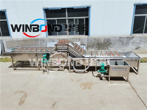 果蔬清洗与净菜加工 现代化清洁设备的核心价值